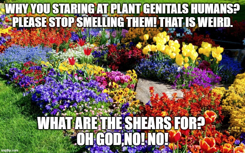 Flower garden  | WHY YOU STARING AT PLANT GENITALS HUMANS?
PLEASE STOP SMELLING THEM! THAT IS WEIRD. WHAT ARE THE SHEARS FOR? 
OH GOD,NO! NO! | image tagged in flower garden | made w/ Imgflip meme maker