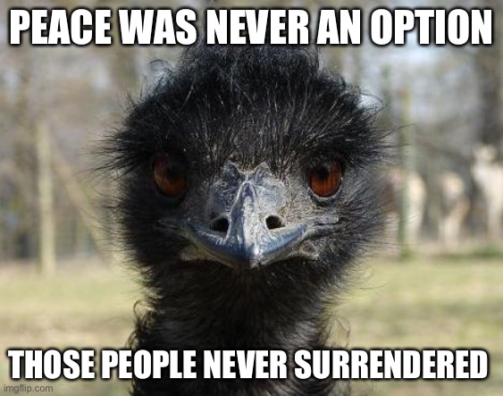 Emu War | PEACE WAS NEVER AN OPTION; THOSE PEOPLE NEVER SURRENDERED | image tagged in bad news emu,emu war,war,peace was never an option | made w/ Imgflip meme maker
