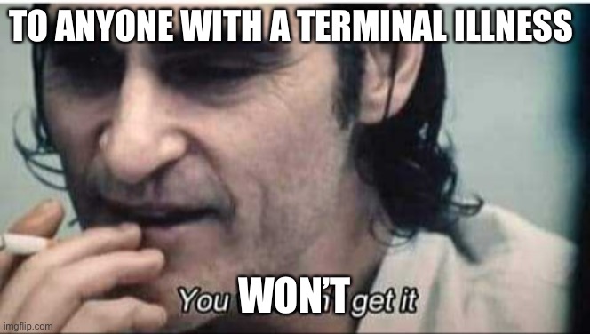 You wouldn't get it | TO ANYONE WITH A TERMINAL ILLNESS WON’T | image tagged in you wouldn't get it | made w/ Imgflip meme maker