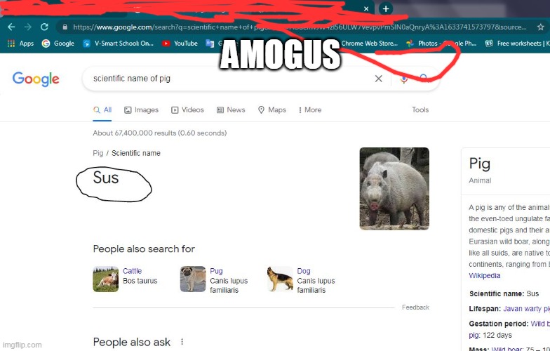 AMOGUS | AMOGUS | image tagged in amogus,memes,dank memes | made w/ Imgflip meme maker