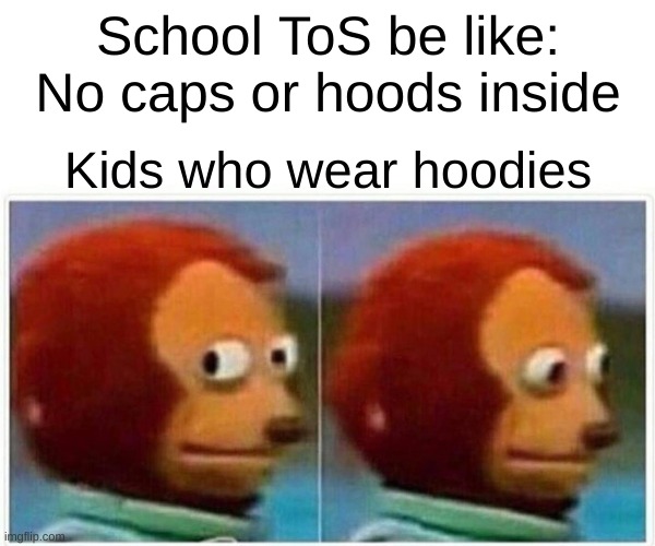 EVERY SINGLE SCHOOL HAS THIS RULE!! | School ToS be like: No caps or hoods inside; Kids who wear hoodies | image tagged in memes,monkey puppet,school | made w/ Imgflip meme maker