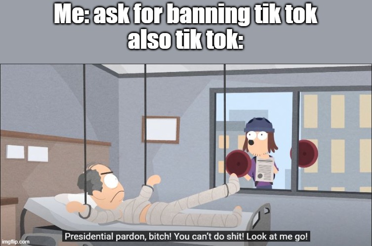 President Pardon | Me: ask for banning tik tok
also tik tok: | image tagged in president pardon | made w/ Imgflip meme maker