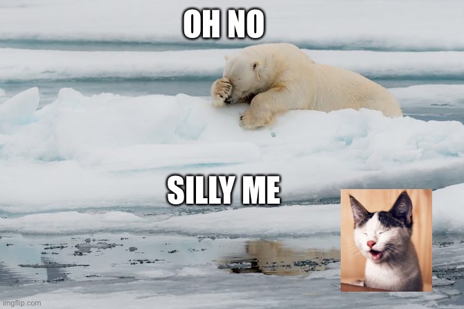 Oh no silly me | OH NO; SILLY ME | image tagged in funny | made w/ Imgflip meme maker