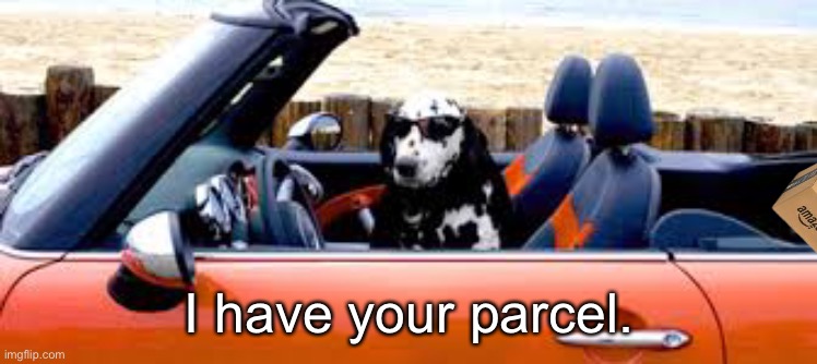 Dalmatian Driver | I have your parcel. | image tagged in dalmatian driver | made w/ Imgflip meme maker