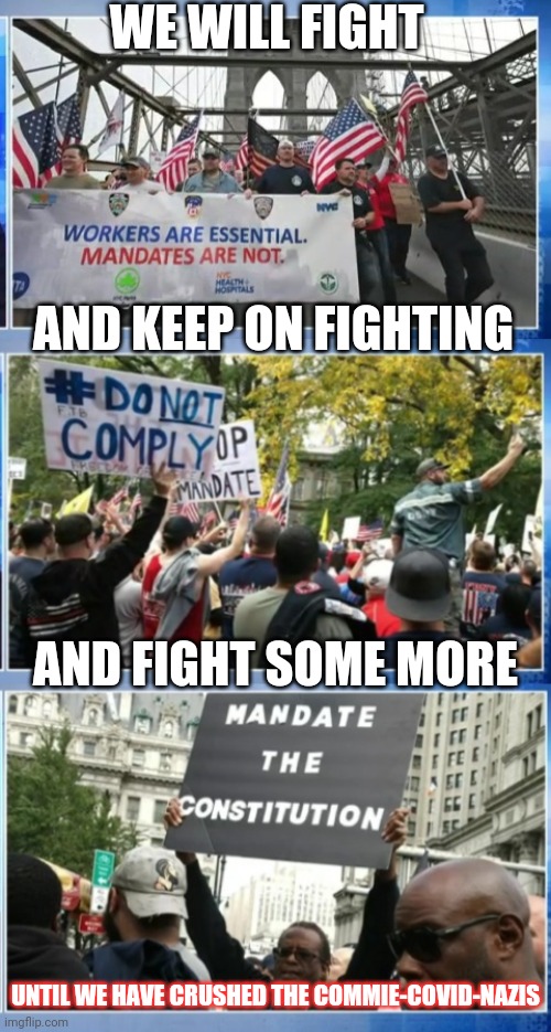 NEVER GIVE UP | WE WILL FIGHT; AND KEEP ON FIGHTING; AND FIGHT SOME MORE; UNTIL WE HAVE CRUSHED THE COMMIE-COVID-NAZIS | image tagged in destroy,usa,haters,communist socialist,covidiots | made w/ Imgflip meme maker