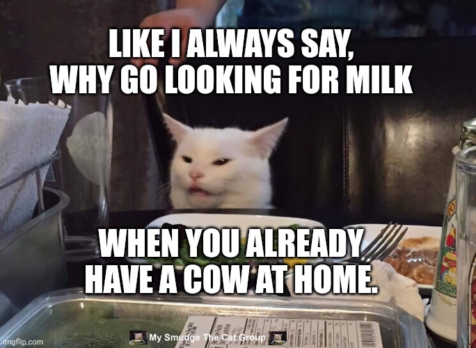 LIKE I ALWAYS SAY, WHY GO LOOKING FOR MILK; WHEN YOU ALREADY HAVE A COW AT HOME. | image tagged in smudge the cat | made w/ Imgflip meme maker