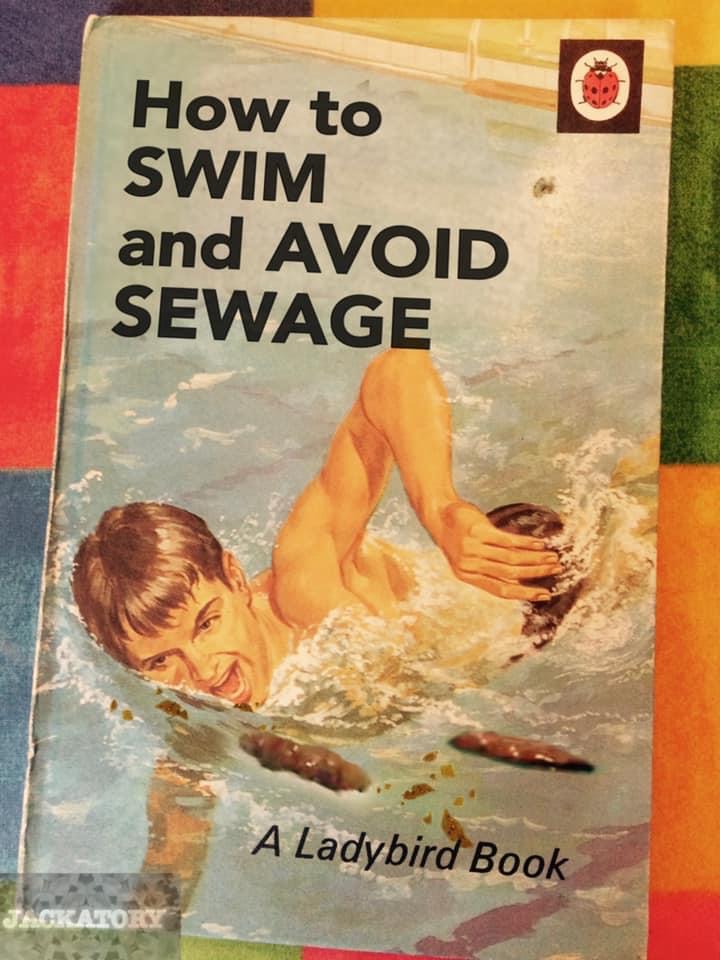 High Quality Swim In Sewage Blank Meme Template