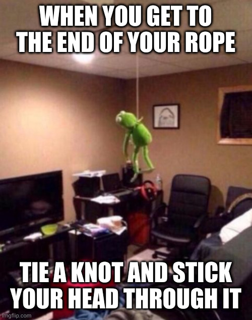 Kermit is well hung | WHEN YOU GET TO THE END OF YOUR ROPE; TIE A KNOT AND STICK
YOUR HEAD THROUGH IT | image tagged in hang in there kermit | made w/ Imgflip meme maker