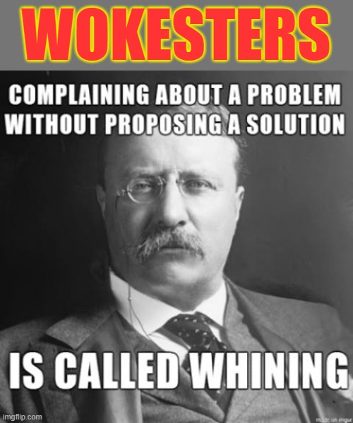 Wokesters ! |  WOKESTERS | image tagged in whining | made w/ Imgflip meme maker
