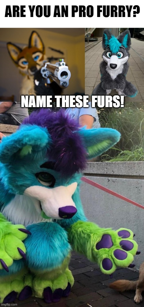 Do you know who they are without the meme? | ARE YOU AN PRO FURRY? NAME THESE FURS! | image tagged in furry with gun,furry,dog afraid of furry,memes,test | made w/ Imgflip meme maker
