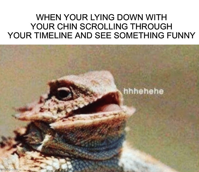 Heheh—hehehehehhee ;) |  WHEN YOUR LYING DOWN WITH YOUR CHIN SCROLLING THROUGH YOUR TIMELINE AND SEE SOMETHING FUNNY | image tagged in memes,funny,laughing,timeline,lmao,iguana | made w/ Imgflip meme maker