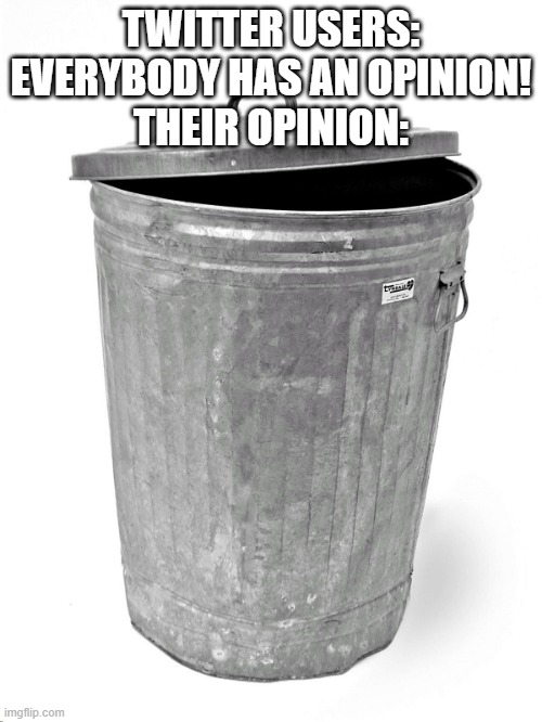 its trash just like you |  TWITTER USERS: EVERYBODY HAS AN OPINION!
THEIR OPINION: | image tagged in trash can | made w/ Imgflip meme maker
