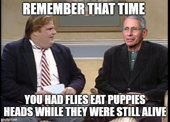 Dog-tor Fauci | REMEMBER THAT TIME; YOU HAD FLIES EAT PUPPIES HEADS WHILE THEY WERE STILL ALIVE | image tagged in chris farley show dr fauci | made w/ Imgflip meme maker