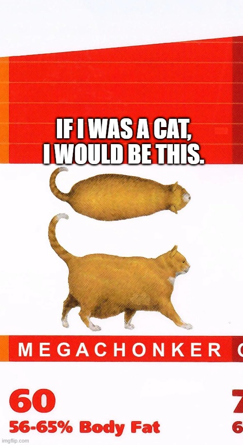 IF I WAS A CAT, I WOULD BE THIS. | made w/ Imgflip meme maker