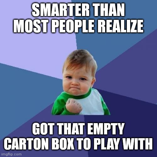 Ever niticed | SMARTER THAN MOST PEOPLE REALIZE; GOT THAT EMPTY CARTON BOX TO PLAY WITH | image tagged in memes,success kid | made w/ Imgflip meme maker