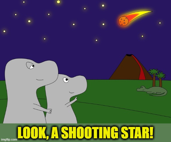 ▬▬ | LOOK, A SHOOTING STAR! | made w/ Imgflip meme maker