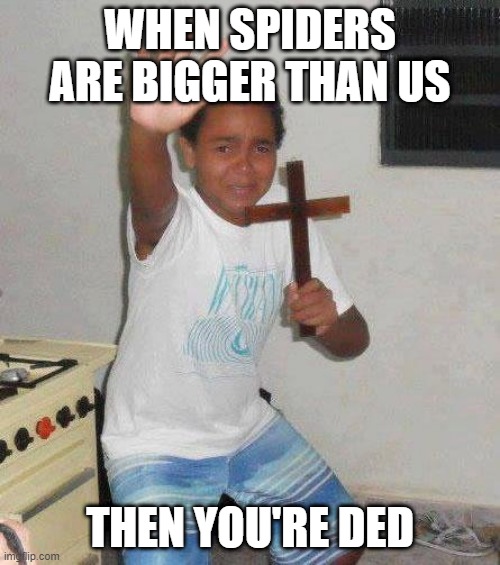 kid with cross | WHEN SPIDERS ARE BIGGER THAN US; THEN YOU'RE DED | image tagged in kid with cross | made w/ Imgflip meme maker