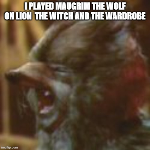 MARIO TERENCE | I PLAYED MAUGRIM THE WOLF ON LION  THE WITCH AND THE WARDROBE | image tagged in mario terence | made w/ Imgflip meme maker