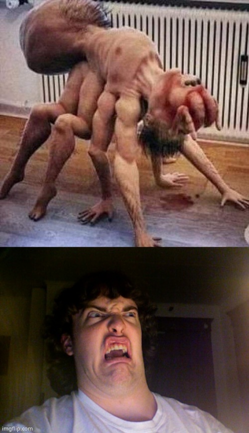 WHY | image tagged in cursed image,memes,oh no | made w/ Imgflip meme maker