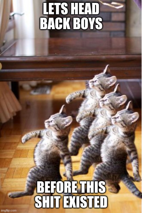 4 cat follow go back | LETS HEAD BACK BOYS BEFORE THIS SHIT EXISTED | image tagged in 4 cat follow go back | made w/ Imgflip meme maker