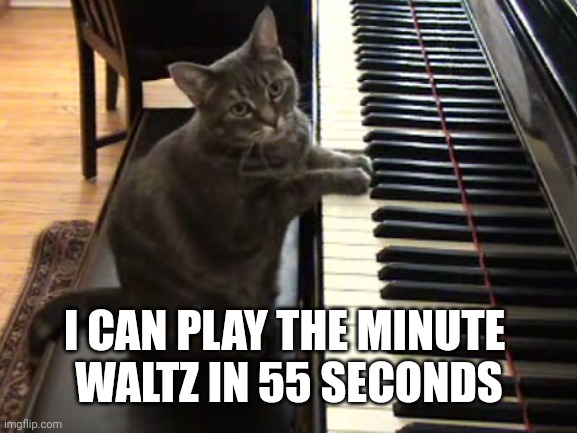 cat piano | I CAN PLAY THE MINUTE 
WALTZ IN 55 SECONDS | image tagged in cat piano | made w/ Imgflip meme maker