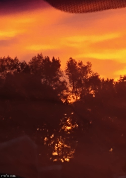 Golden sky | image tagged in golden sky | made w/ Imgflip meme maker