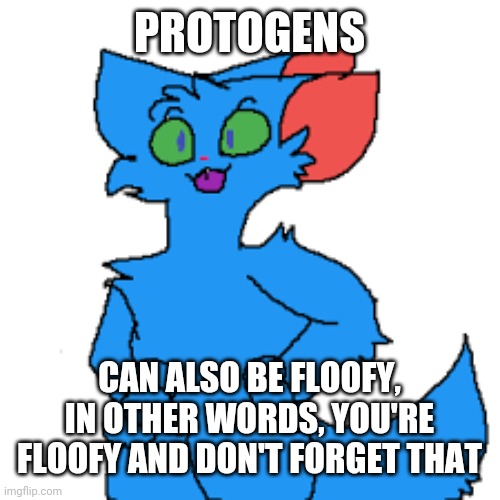 RetroFurry Fursona | PROTOGENS CAN ALSO BE FLOOFY, IN OTHER WORDS, YOU'RE FLOOFY AND DON'T FORGET THAT | image tagged in retrofurry fursona | made w/ Imgflip meme maker