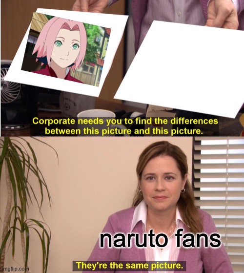 They're The Same Picture | naruto fans | image tagged in memes,they're the same picture | made w/ Imgflip meme maker