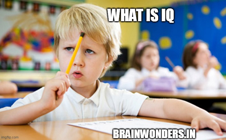 what is IQ | WHAT IS IQ; BRAINWONDERS.IN | image tagged in iq,what is iq,iq test benefits | made w/ Imgflip meme maker