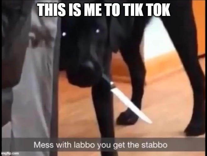 mess with labbo you get stabbo | THIS IS ME TO TIK TOK | image tagged in mess with labbo you get stabbo | made w/ Imgflip meme maker