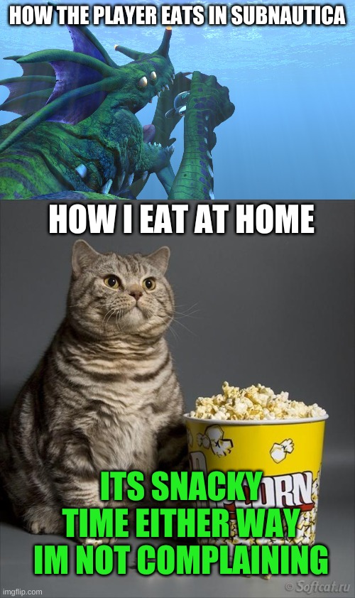  HOW THE PLAYER EATS IN SUBNAUTICA; HOW I EAT AT HOME; ITS SNACKY TIME EITHER WAY
IM NOT COMPLAINING | image tagged in subnautica sea dragon leviathan eats us like a sandwhich,cat eating popcorn | made w/ Imgflip meme maker