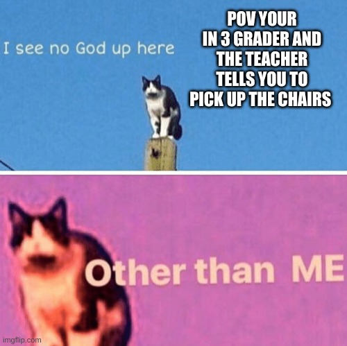 Hail pole cat | POV YOUR IN 3 GRADER AND THE TEACHER TELLS YOU TO PICK UP THE CHAIRS | image tagged in hail pole cat | made w/ Imgflip meme maker