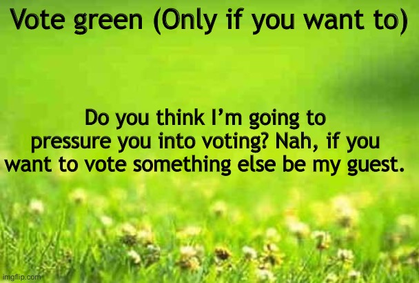 green background | Vote green (Only if you want to); Do you think I’m going to pressure you into voting? Nah, if you want to vote something else be my guest. | image tagged in green background | made w/ Imgflip meme maker