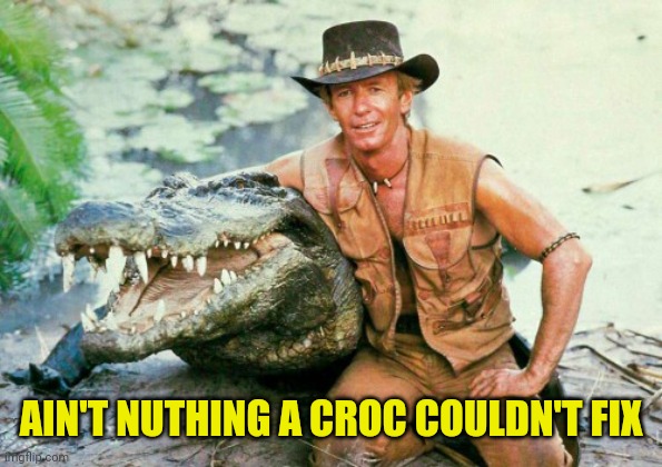 Crocodile Dundee Paul Hogan | AIN'T NUTHING A CROC COULDN'T FIX | image tagged in crocodile dundee paul hogan | made w/ Imgflip meme maker