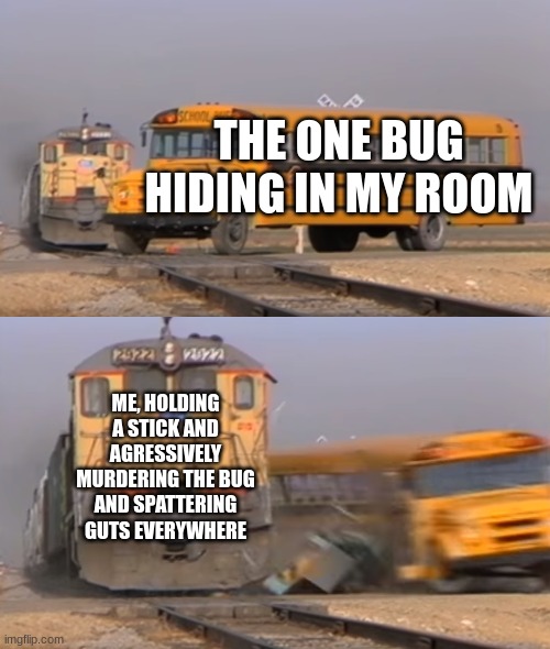 I have commited to murder to serveral bug colonies. | THE ONE BUG HIDING IN MY ROOM; ME, HOLDING A STICK AND AGRESSIVELY MURDERING THE BUG AND SPATTERING GUTS EVERYWHERE | image tagged in a train hitting a school bus | made w/ Imgflip meme maker