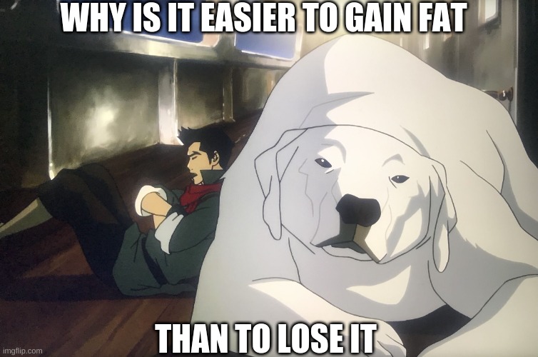 Why is it easier Mako | WHY IS IT EASIER TO GAIN FAT; THAN TO LOSE IT | image tagged in why is it easier mako | made w/ Imgflip meme maker