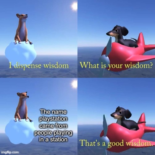 Wisdom dog | The name playstation came from people playing in a station | image tagged in wisdom dog | made w/ Imgflip meme maker