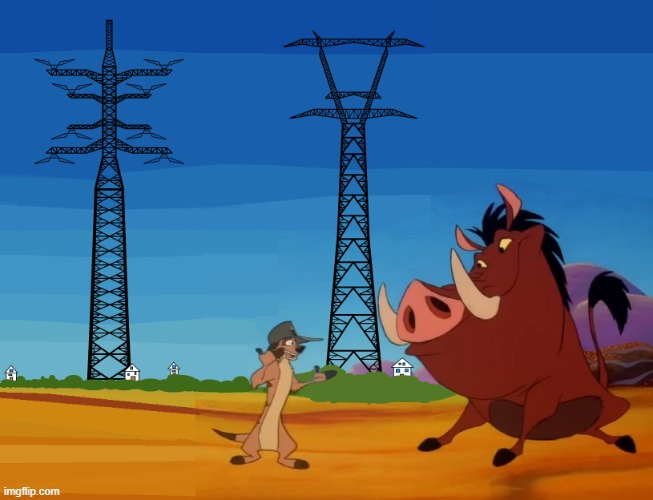 Timon and Pumbaa | image tagged in timon and pumbaa | made w/ Imgflip meme maker