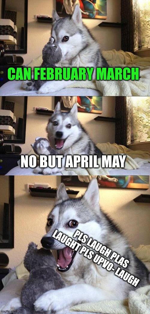Bad Pun Dog Meme | CAN FEBRUARY MARCH; NO BUT APRIL MAY; PLS LAUGH PLAS LAUGHT PLS UPVO- LAUGH | image tagged in memes,bad pun dog | made w/ Imgflip meme maker