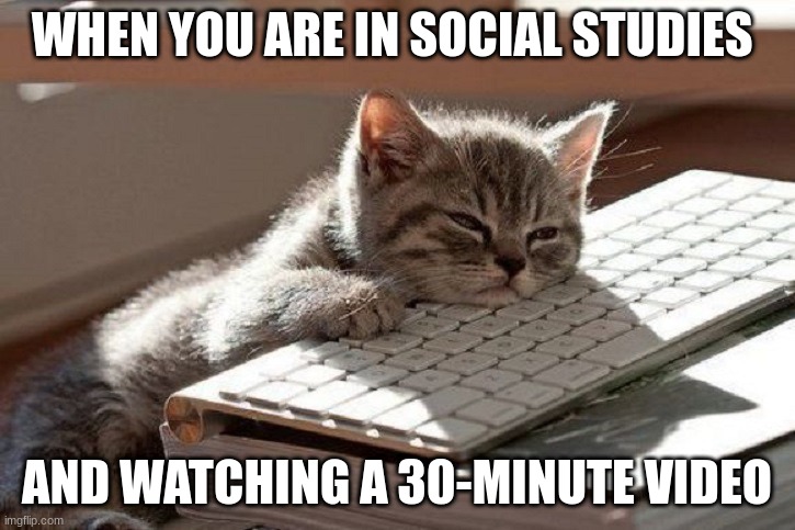 Too Tired | WHEN YOU ARE IN SOCIAL STUDIES; AND WATCHING A 30-MINUTE VIDEO | image tagged in too tired | made w/ Imgflip meme maker
