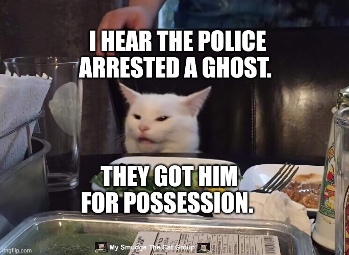 I HEAR THE POLICE ARRESTED A GHOST. THEY GOT HIM FOR POSSESSION. | image tagged in smudge the cat | made w/ Imgflip meme maker