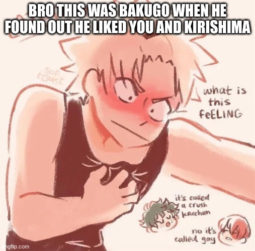 BRO THIS WAS BAKUGO WHEN HE FOUND OUT HE LIKED YOU AND KIRISHIMA | made w/ Imgflip meme maker