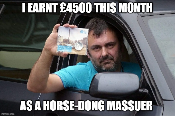 Scam advert | I EARNT £4500 THIS MONTH; AS A HORSE-DONG MASSUER | image tagged in scam advert | made w/ Imgflip meme maker
