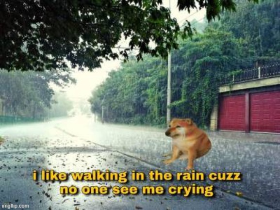 cry :,( | image tagged in rain,wash away,the pain,owwwww | made w/ Imgflip meme maker