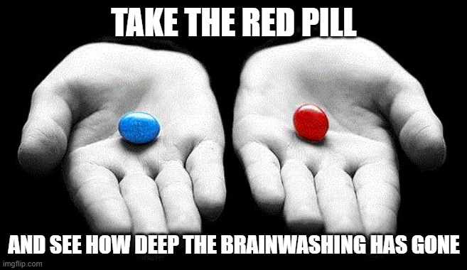 Red pills blue pills | TAKE THE RED PILL AND SEE HOW DEEP THE BRAINWASHING HAS GONE | image tagged in red pills blue pills | made w/ Imgflip meme maker
