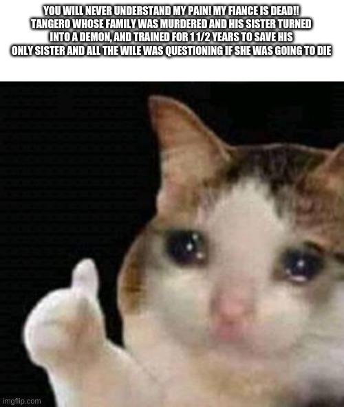 sad thumbs up cat |  YOU WILL NEVER UNDERSTAND MY PAIN! MY FIANCE IS DEAD!!
TANGERO WHOSE FAMILY WAS MURDERED AND HIS SISTER TURNED INTO A DEMON AND TRAINED FOR 1 1/2 YEARS TO SAVE HIS ONLY SISTER AND ALL THE WHILE WAS QUESTIONING IF SHE WAS GOING TO DIE | image tagged in sad thumbs up cat,anime,demon slayer,anime meme | made w/ Imgflip meme maker
