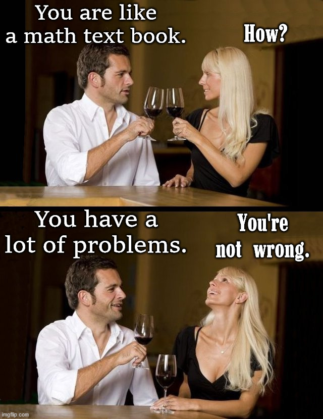 We all have problems, some more than others. | You are like a math text book. How? You're not wrong. You have a lot of problems. | image tagged in couple drinking,subtle pickup liner | made w/ Imgflip meme maker