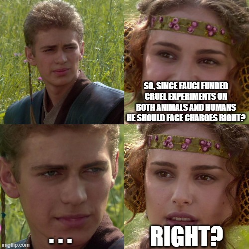 Anakin Padme 4 Panel | SO, SINCE FAUCI FUNDED CRUEL EXPERIMENTS ON BOTH ANIMALS AND HUMANS HE SHOULD FACE CHARGES RIGHT? . . . RIGHT? | image tagged in anakin padme 4 panel | made w/ Imgflip meme maker