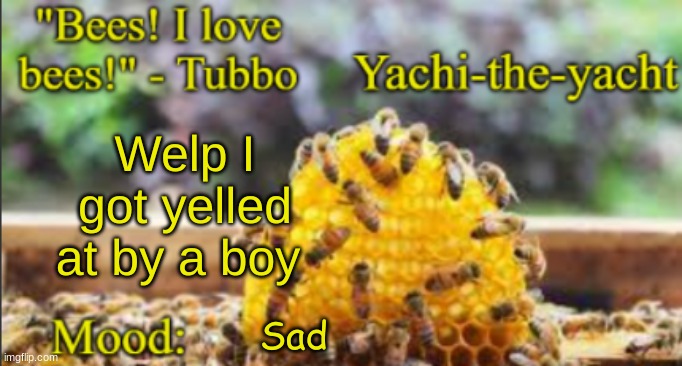 Yachi's bees temp | Welp I got yelled at by a boy; Sad | image tagged in yachi's bees temp | made w/ Imgflip meme maker