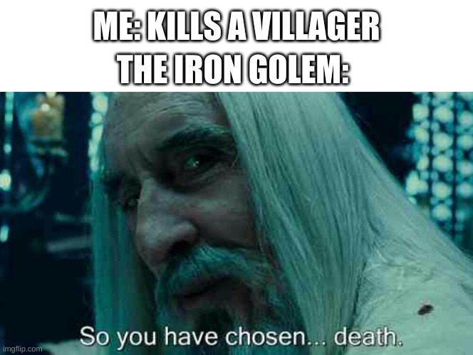 craftmine | ME: KILLS A VILLAGER; THE IRON GOLEM: | image tagged in so you have chosen death | made w/ Imgflip meme maker